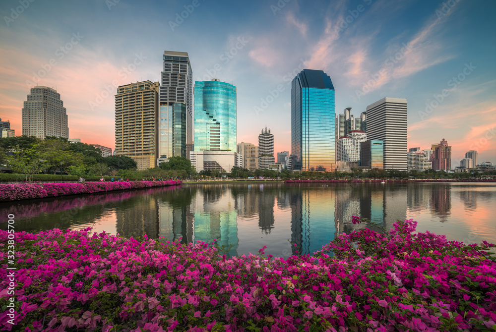 Lake with Purple Flowers in City Park under Skyscrapers at Sunset. Benjakiti Park in Bangkok, Thailand Lake with Purple Flowers in City Park under Skyscrapers at Sunset. Benjakiti Park in Bangkok, Thailand