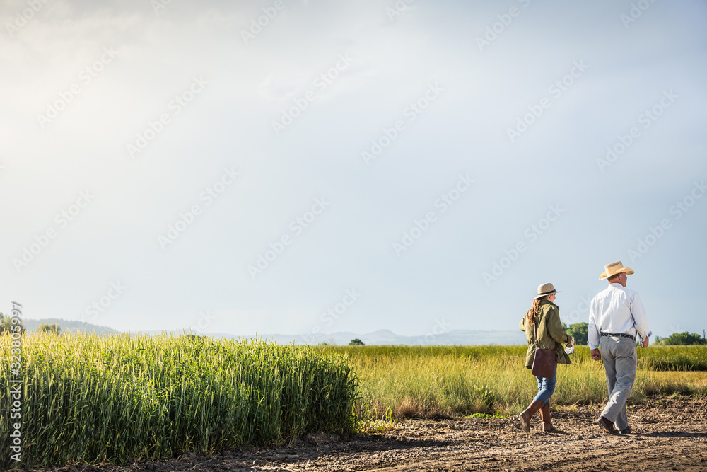 Biologist and farmer walking plowed field, inspecting crops. Bridger, Montana, USA Biologist and farmer walking plowed field, inspecting crops. Bridger, Montana, USA