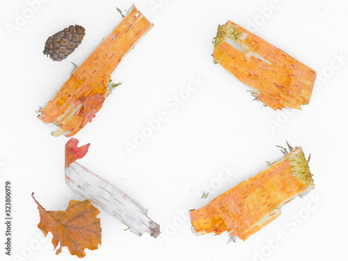 Wallpaper with the image of birchbark and other gifts of the forest photo