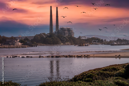 Sunset image of Moss Landing Harbor and natural gas power plant, with harbor seals and seagulls on a protected beach, photo