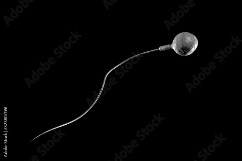 Sperm and Egg 3D Illustration © Ezume Images