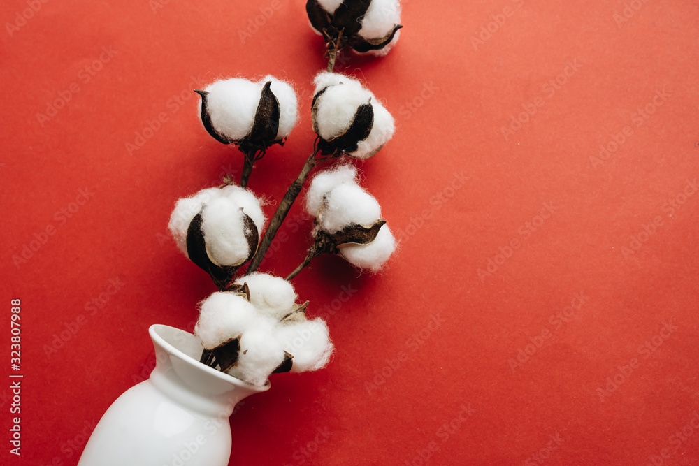 Cotton flowers in vase on red background Cotton flowers in vase on red background