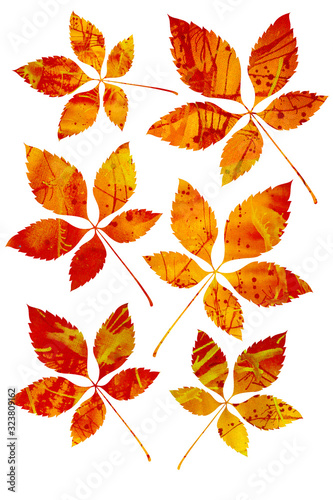 Acrylic Drip Fall Chestnut Leaves 