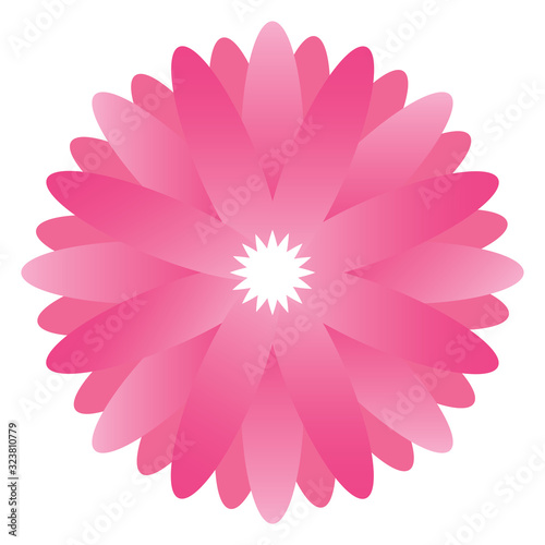 Isolated pink flower