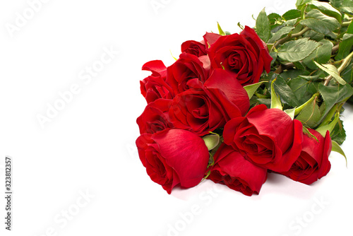 beautiful bouquet of red roses lies on a white background. Young red roses are very fragrant. Dutch flowers are popular all over the world and delight millions of women around the world.