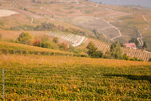 Countryside of Barolo, famous wine production city of Langhe, Piedmont, Italy photo