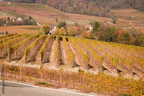 Countryside of Barolo, famous wine production city of Langhe, Piedmont, Italy photo