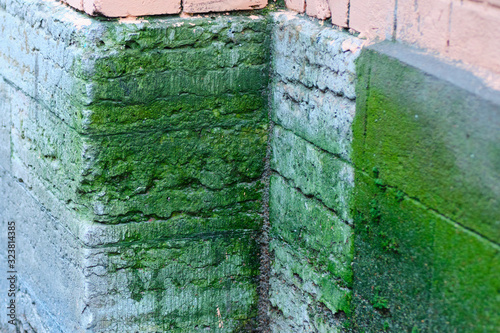 Photos The facade of the building is destroyed by high humidity - green vegetation