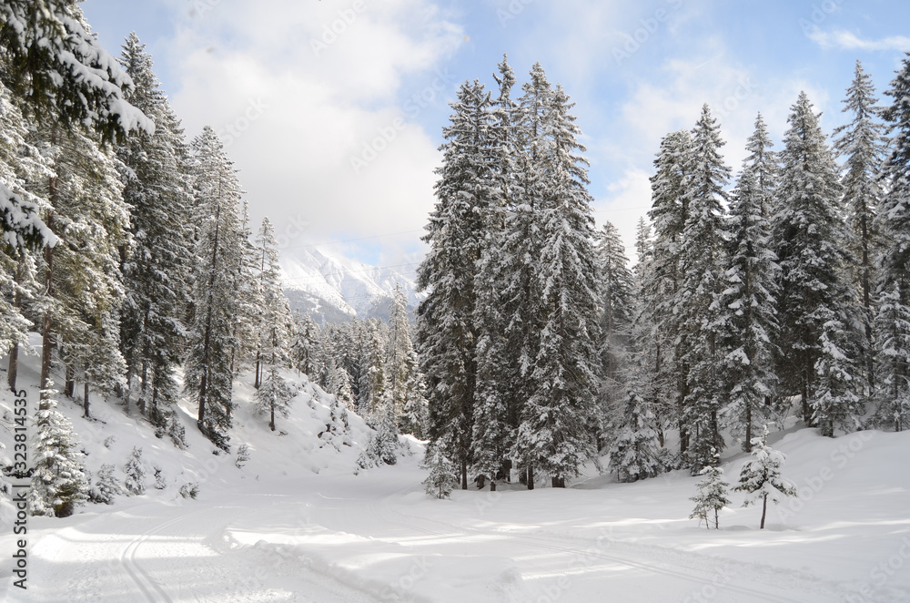 Naklejka premium Leutasch