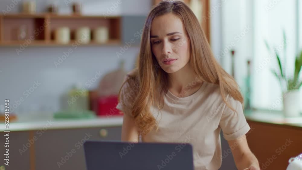 Businesswoman working on laptop computer at home. Woman using laptop on kitchen