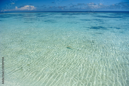 Maldives Paradise Beach Island Tropical Beauty