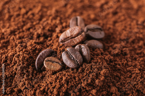Coffee beans on powder, closeup
