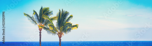 Beach travel Summer banner background of blue ocean and palm trees panorama, tropical Caribbean travel destination. Horizontal copy space header.