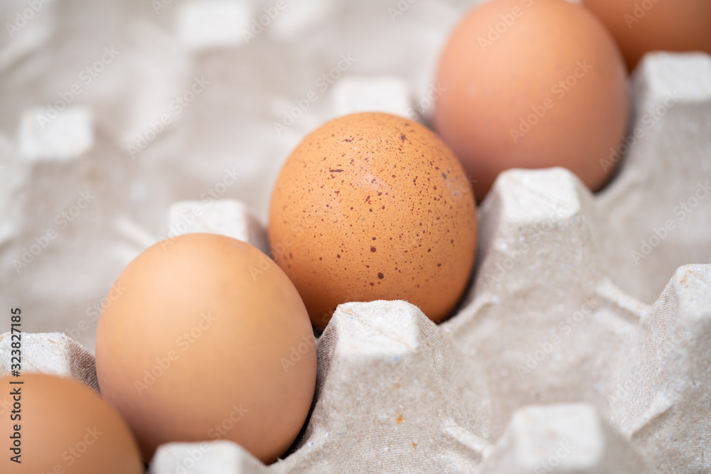egg