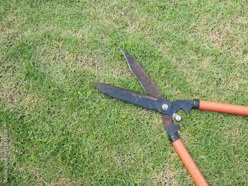 grass scissors  on grass field background