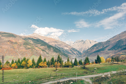 Colorful tree and forest nature hiking trail without any person. photo