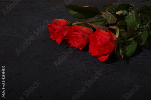 Three red roses are on the table dark background