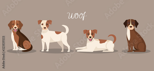 group of dogs animals icons vector illustration design