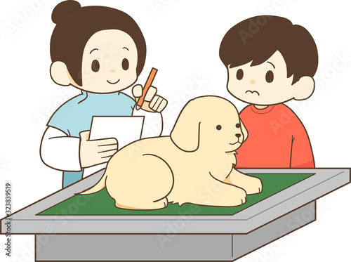 ゴールデンレトリバーの子犬（健康診断1）