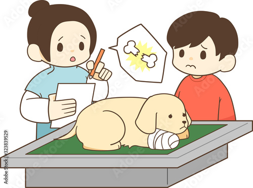 ゴールデンレトリバーの子犬（骨折）