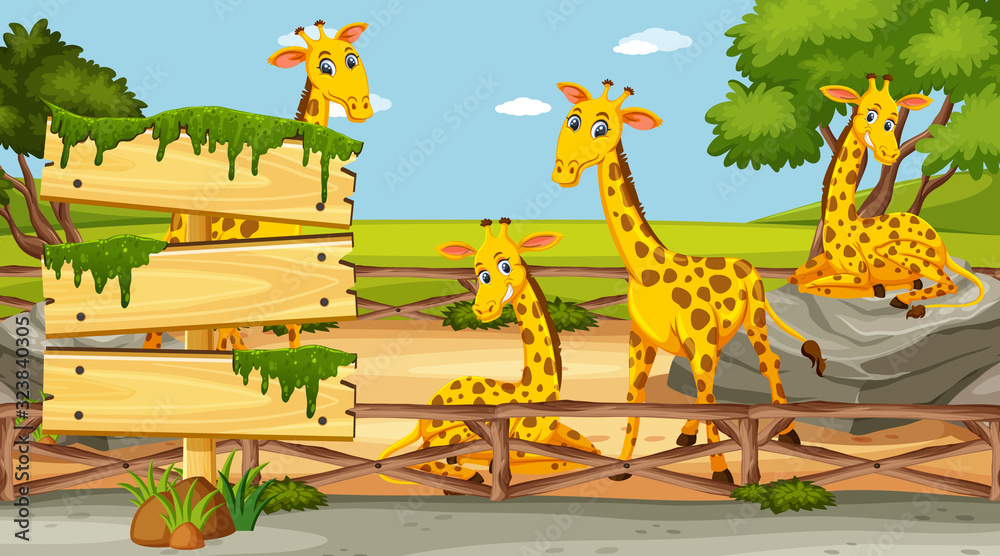 Fotografie Wooden sign template with four giraffes in the park