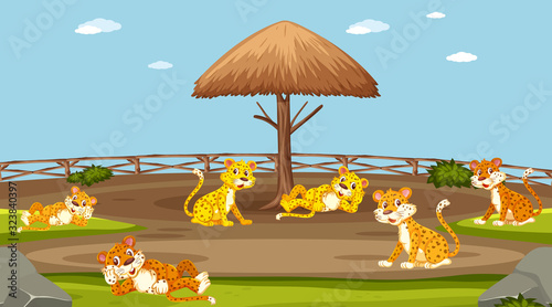 Scene with wild animals in the zoo at day time