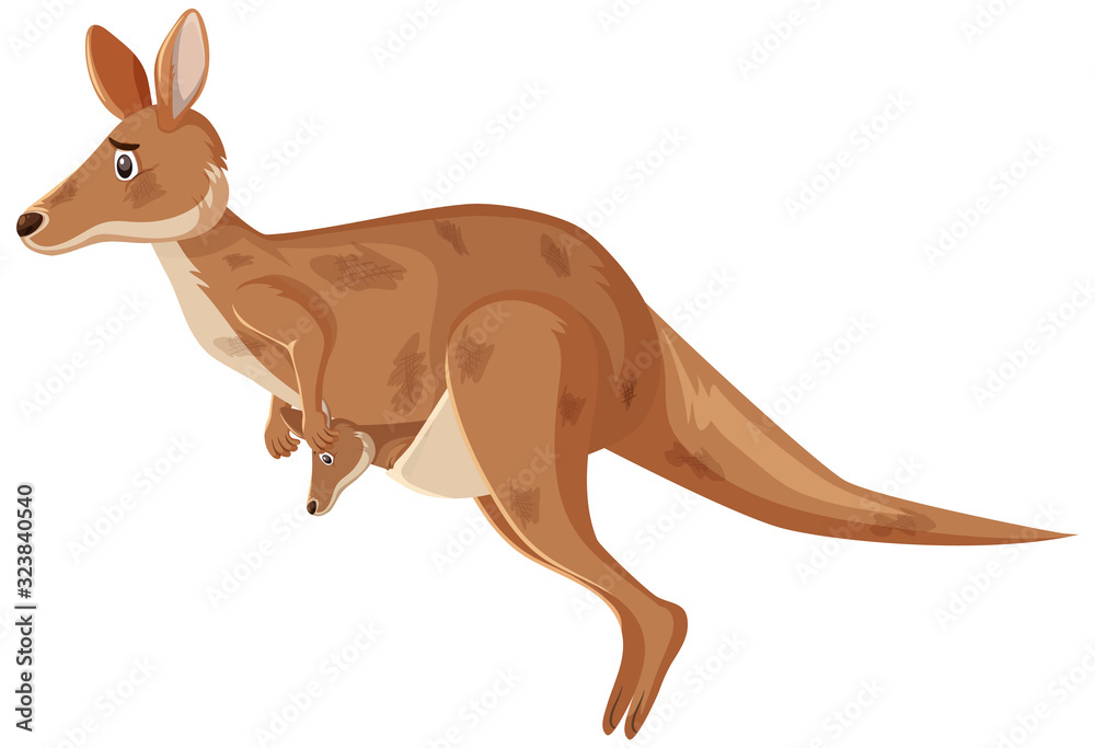 Injured kangaroo jumping on white background Injured kangaroo jumping on white background