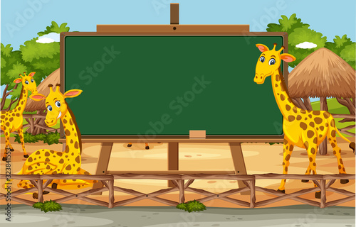 Blackboard template design with happy giraffes in the zoo