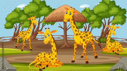 Scene with wild animals in the zoo at day time