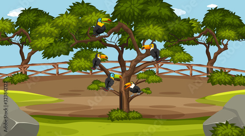 Scene with wild animals in the zoo at day time