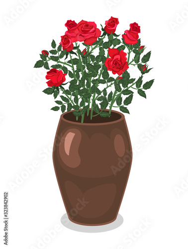 Roses in a flowerpot isolated on a white background. Vector graphics.