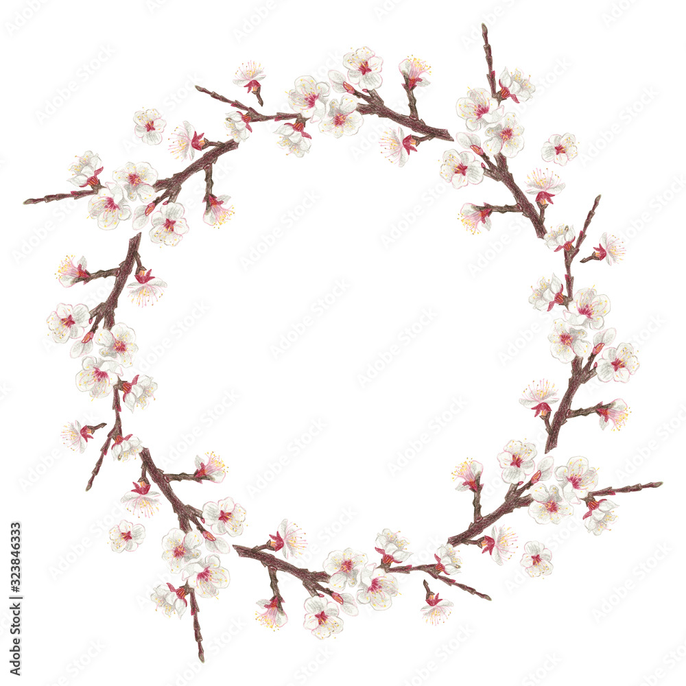 Wreath with spring flowering trees apricot on a white background. Drawing in crayons.