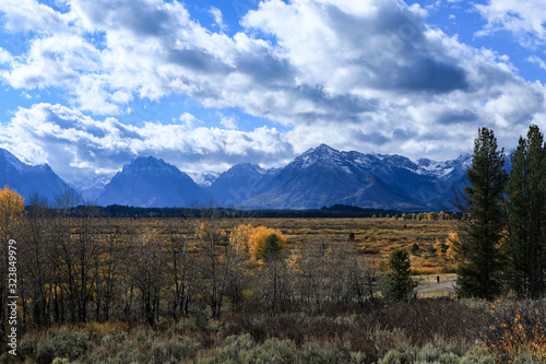Beautiful landscapes of the Forest in Grand Teton National Park, Arizona, USA