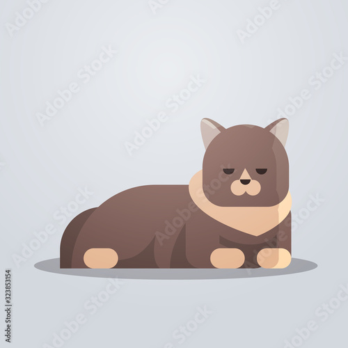 cute cat icon fluffy adorable cartoon animal domestic kitty home pet concept flat full length vector illustration
