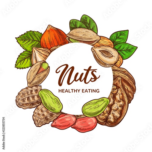 Nuts and legume beans vector sketch of food design. Peanut, almond and pistachio, hazelnut, walnut and groundnut round frame with dried seeds and grains, nut shells and kernels