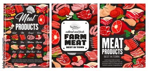 Meat and sausages food products vector design. Beef steaks, pork ham and salami, bacon, chicken and turkey, barbecue burgers, ribs and chops on blackboard with green salad leaves and spice herbs