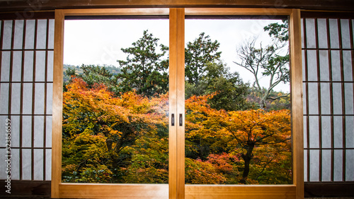 Autumn window view