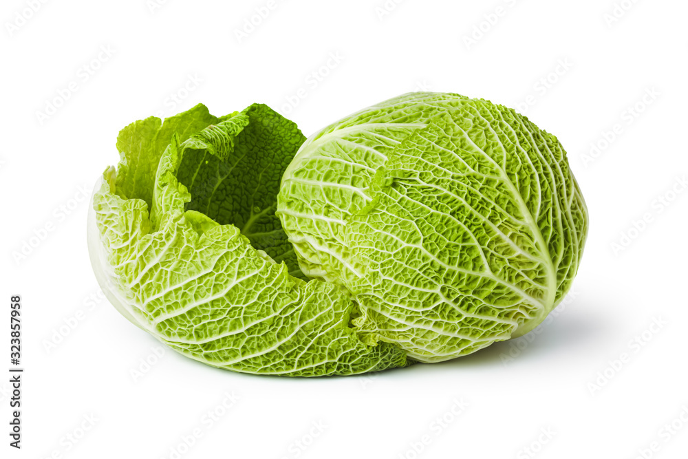 Cabbage Cabbage