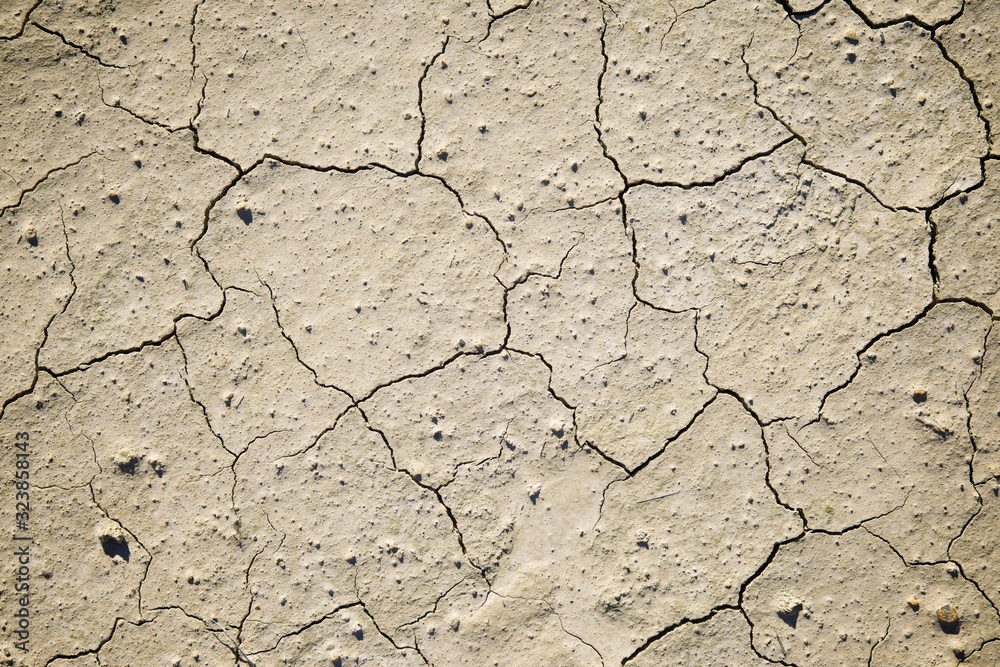 Fototapeta premium Drought land concept