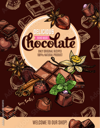 Chocolate with spices sketch poster of sweet food and desserts vector design. Candies and bar pieces of dark and milk chocolate with mint, truffle and praline, vanilla, cinnamon and star anise