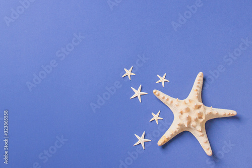 one big starfish and five small lying on a blue background in right corner, top view with copy space