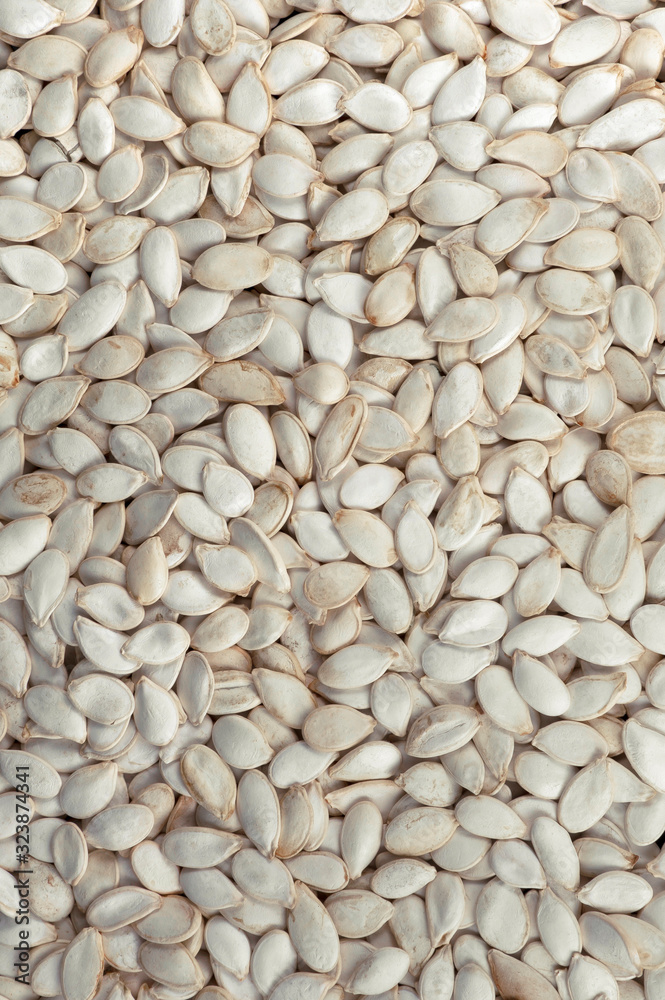 Pumpkin seeds in shell. Background and texture. Pumpkin seeds in shell. Background and texture.