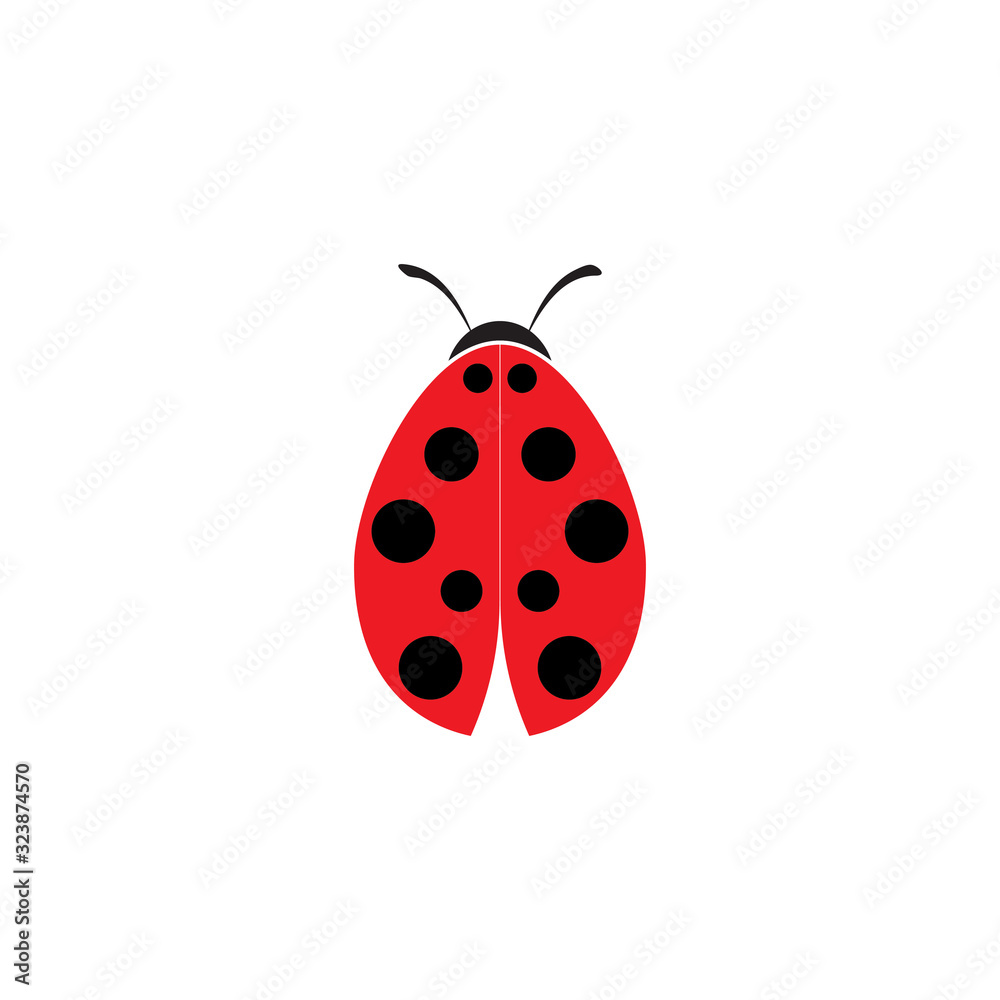 Beauty bug vector illustration icon design Beauty bug vector illustration icon design