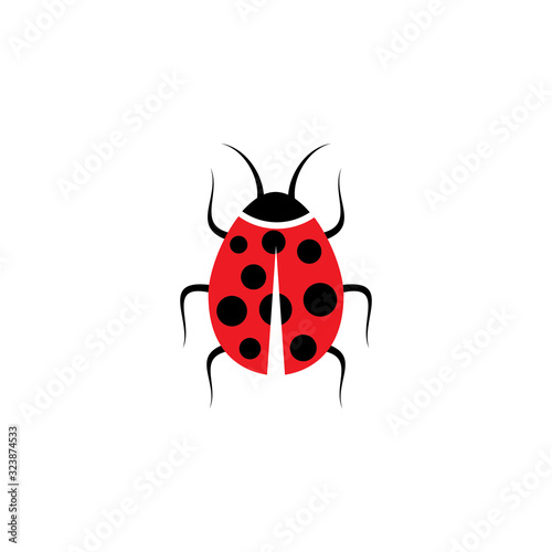 Beauty bug vector illustration icon design © dar