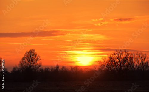 Silhouette nature photo at sunset © SasaStock