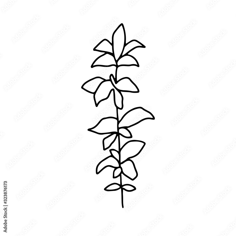 Continuous line illustration with leaf, plant with leaves.