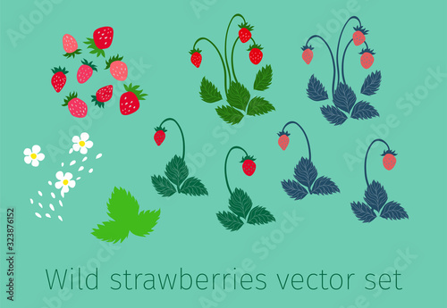 Wild strawberries vector set for composition