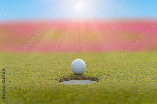 Golfer is putting golf ball on green grass at golf course for game with blur background and sunlight ray
