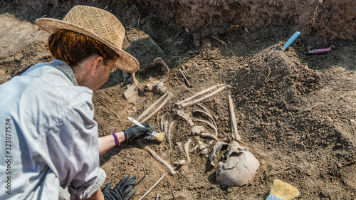 Archaeological Excavations of an Ancient Human Skeleton photo