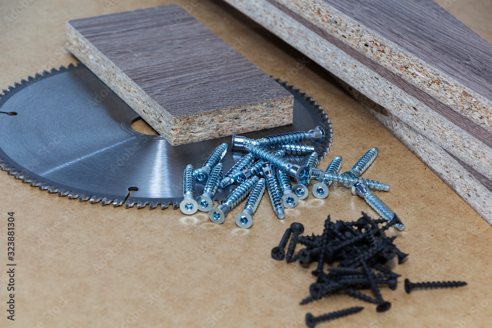 Screwon for furniture. Metal screw. Vertical. Metal screws. Furniture
